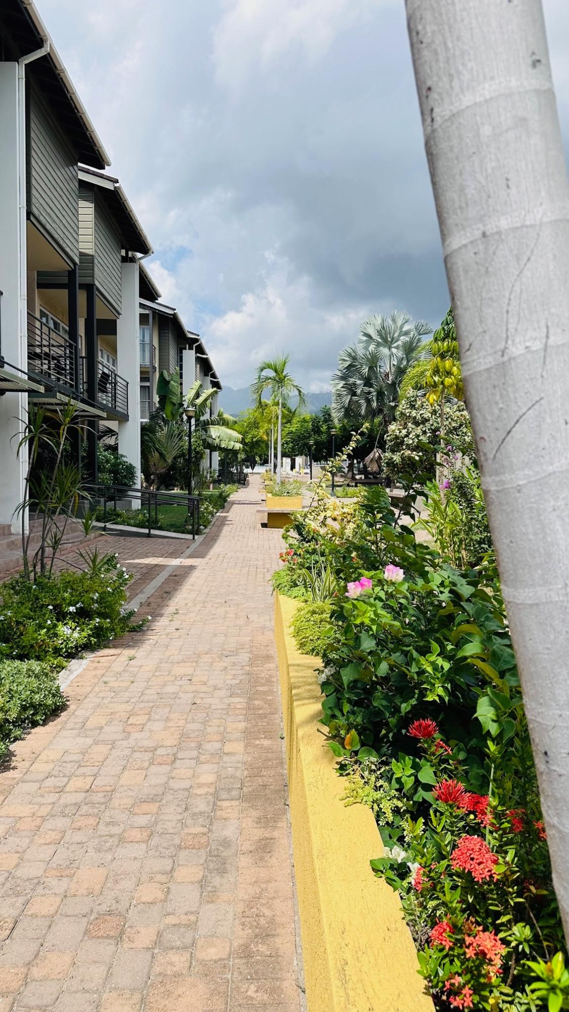 Sixth image of 12-1 Spathodia Ave in Mona Heights, St. Andrew, Jamaica - property is For Rent