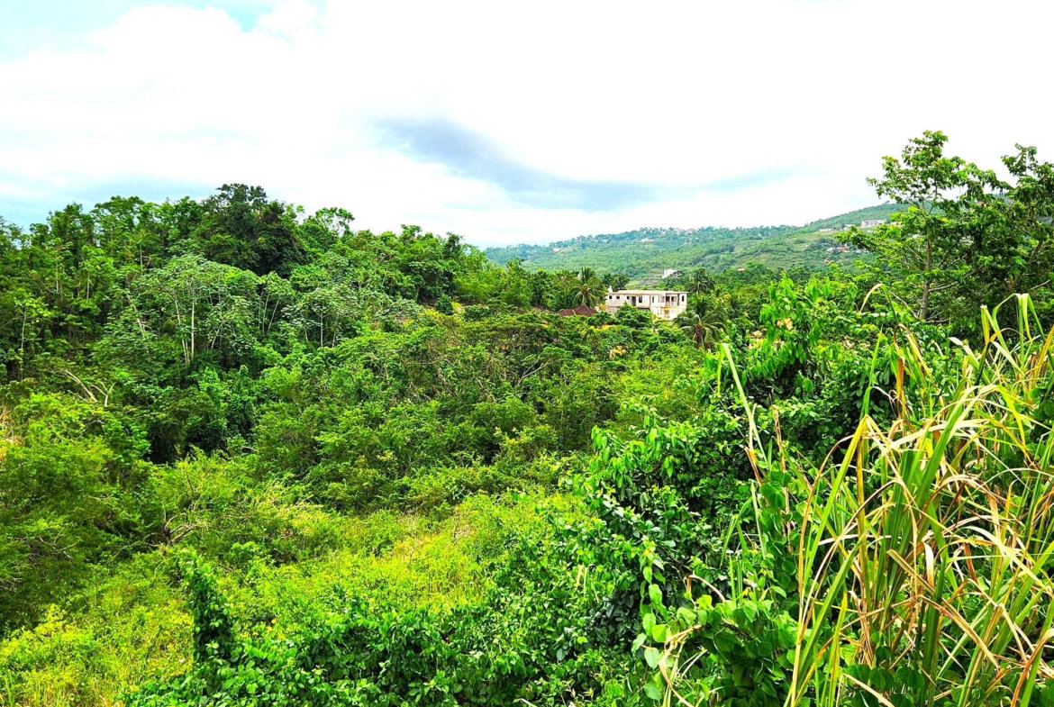 Twentieth image of 14 Ciboney Drive, Hanbury in Hanbury, Manchester, Jamaica - property is For Sale