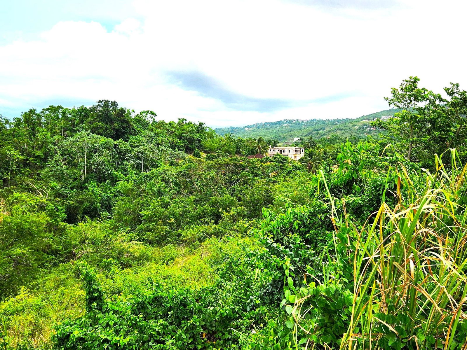 Spacious-3-Bedroom-House-for-Sale-in-Hanbury-Jamaica Twentieth image of 14 Ciboney Drive, Hanbury in Hanbury, Manchester, Jamaica - property is For Sale