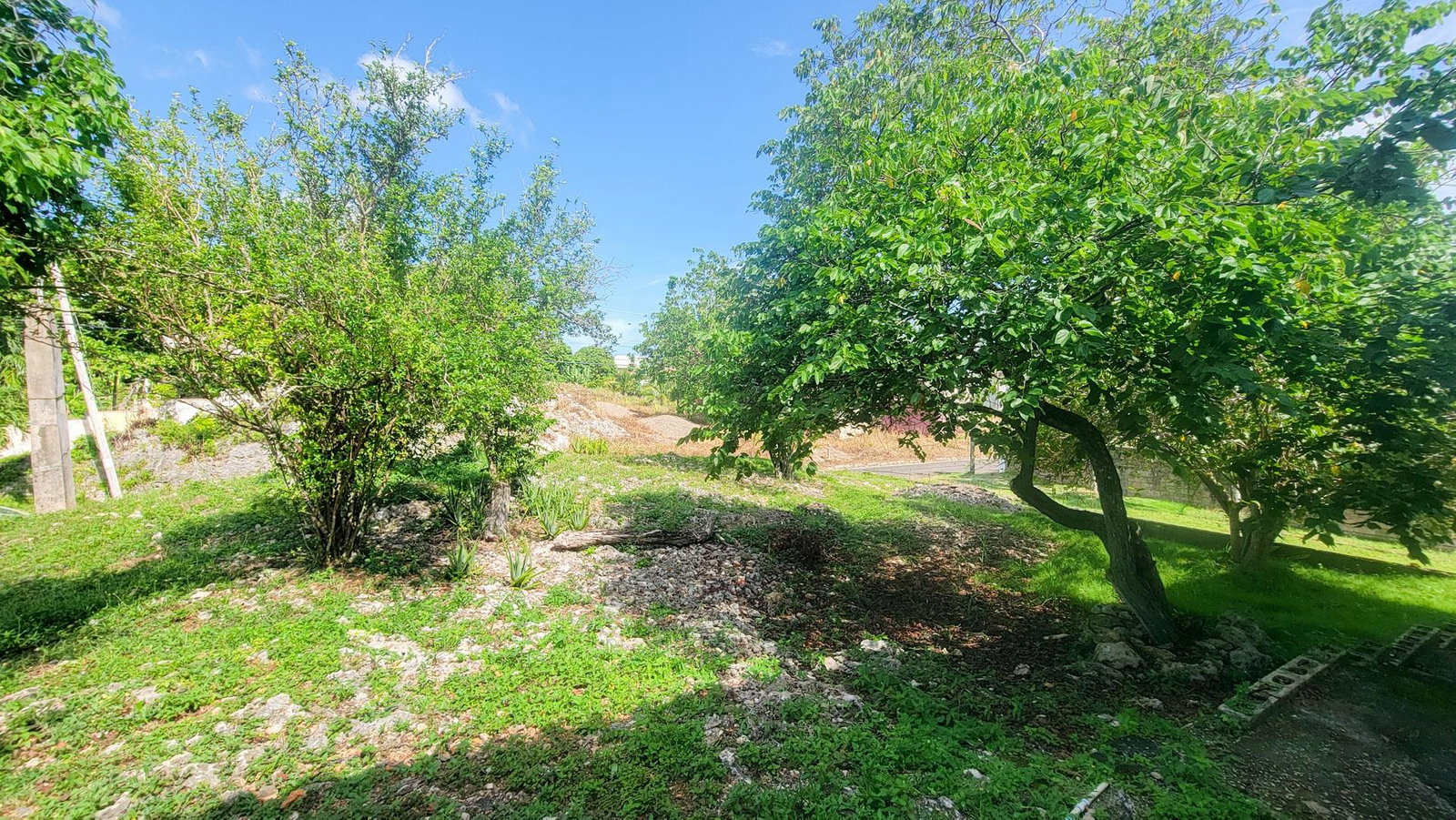 Fifteenth image of Lot 27 Ocean Ridge (part of Spri in Ocean Ridge, St. Mary, Jamaica - property is For Sale
