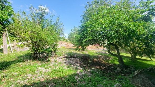 Fifteenth image of Lot 27 Ocean Ridge (part of Spri in Ocean Ridge, St. Mary, Jamaica - property is For Sale