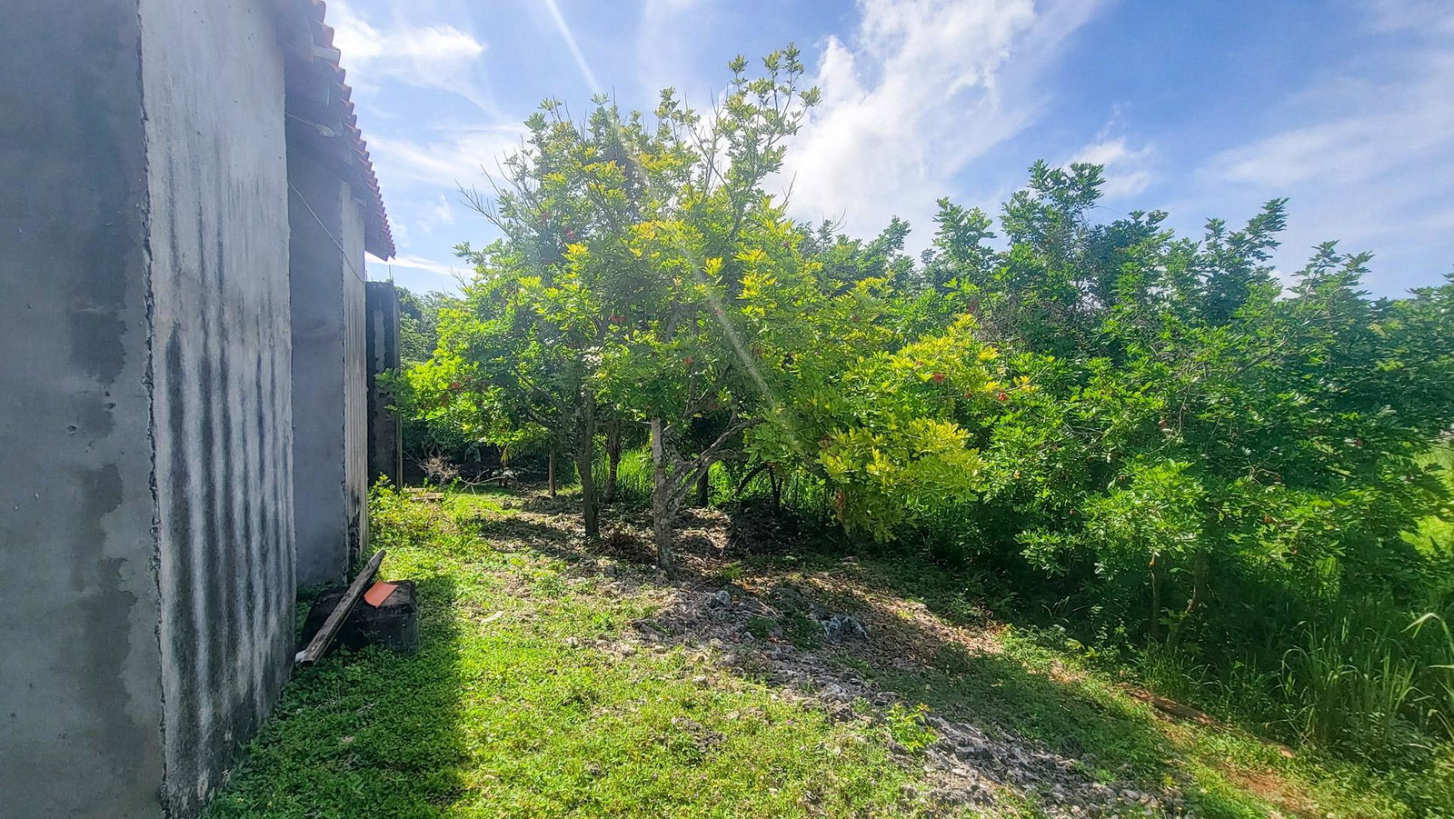 Sixteenth image of Lot 27 Ocean Ridge (part of Spri in Ocean Ridge, St. Mary, Jamaica - property is For Sale