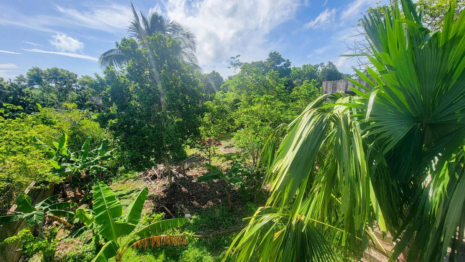 Twenty-Second image of Lot 27 Ocean Ridge (part of Spri in Ocean Ridge, St. Mary, Jamaica - property is For Sale
