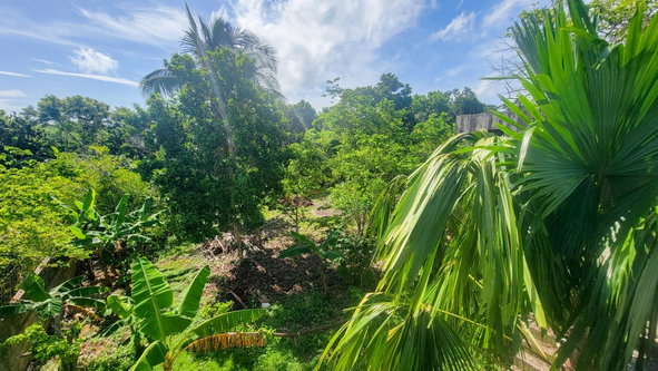 Twenty-Second image of Lot 27 Ocean Ridge (part of Spri in Ocean Ridge, St. Mary, Jamaica - property is For Sale