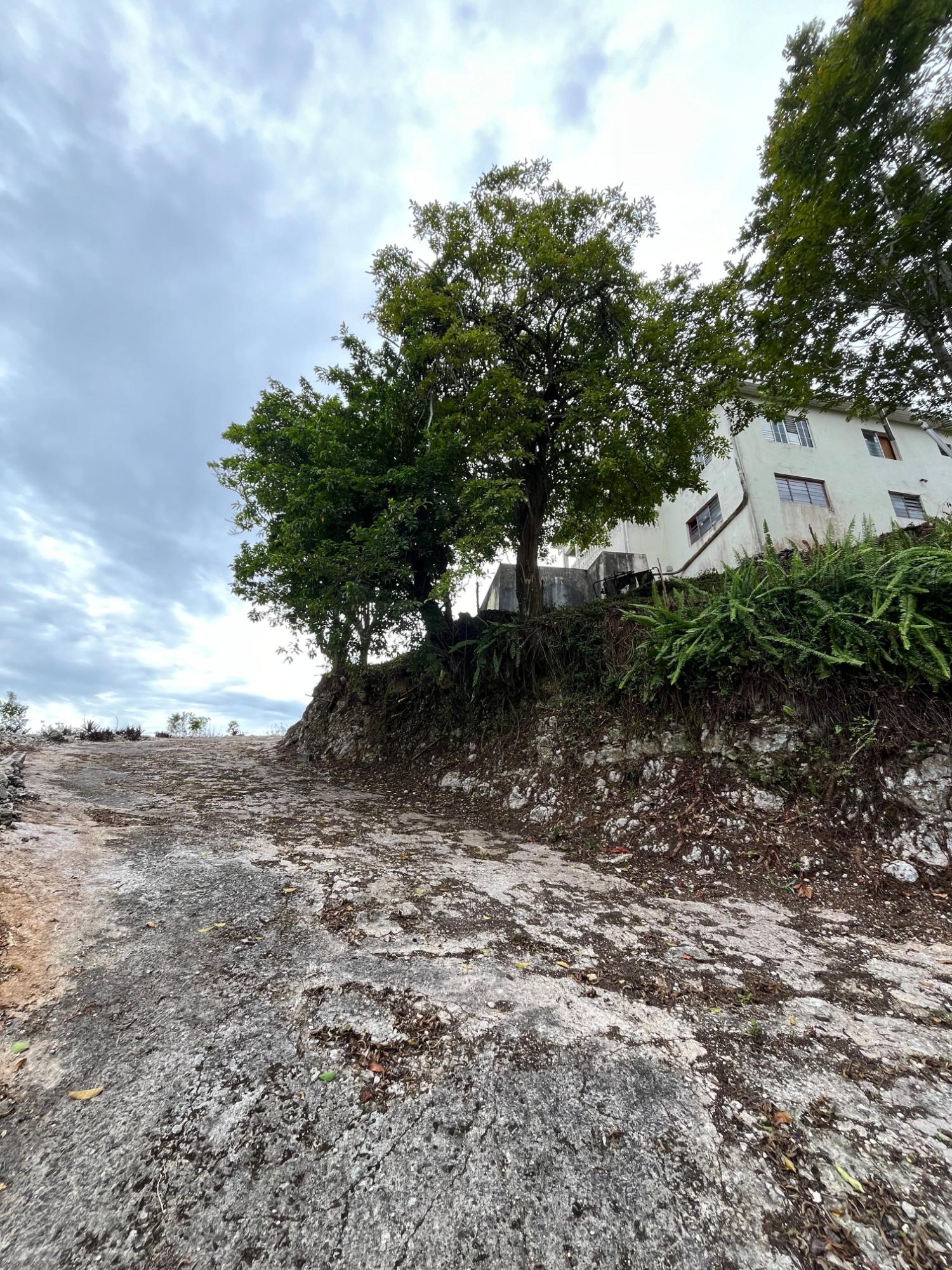Second image of 4 Woodleigh Decarteret rd in Mandeville, Manchester, Jamaica - property is For Sale
