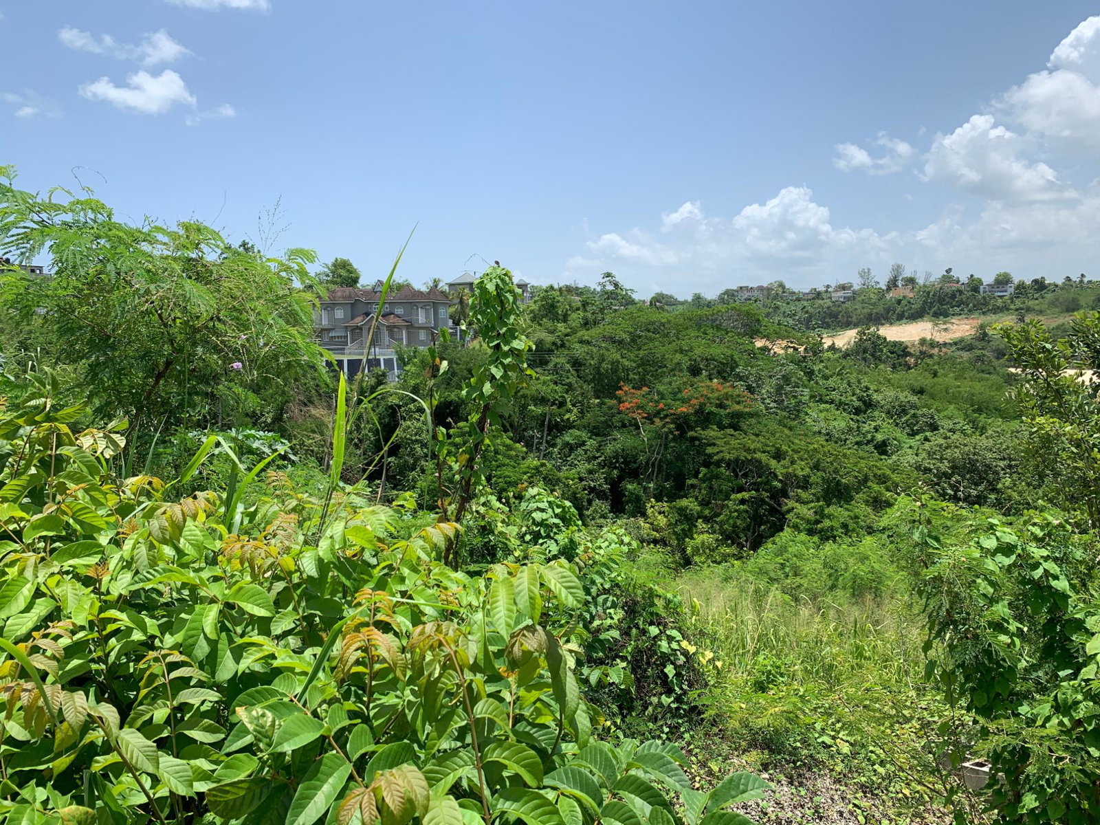 Eleventh image of 383 & 384 Westgate Hills Phase 2. m in Westgate Hills, St. James, Jamaica - property is For Sale