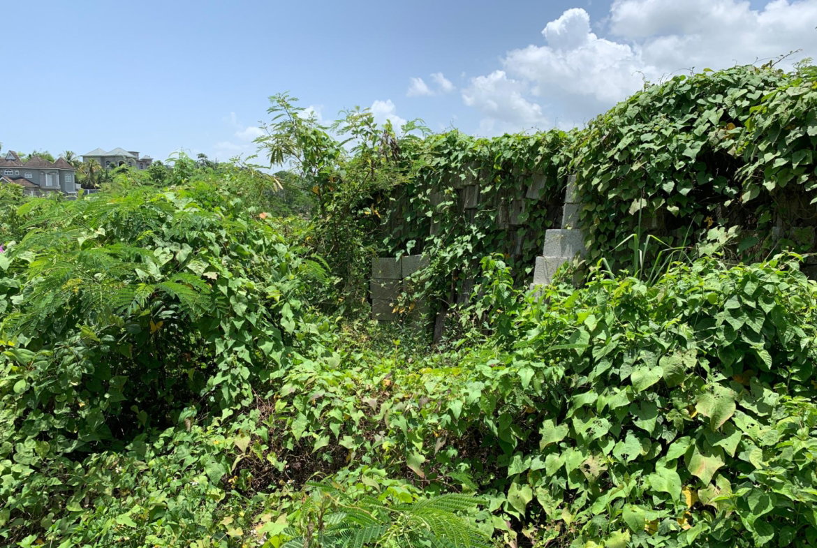Twelfth image of 383 & 384 Westgate Hills Phase 2. m in Westgate Hills, St. James, Jamaica - property is For Sale