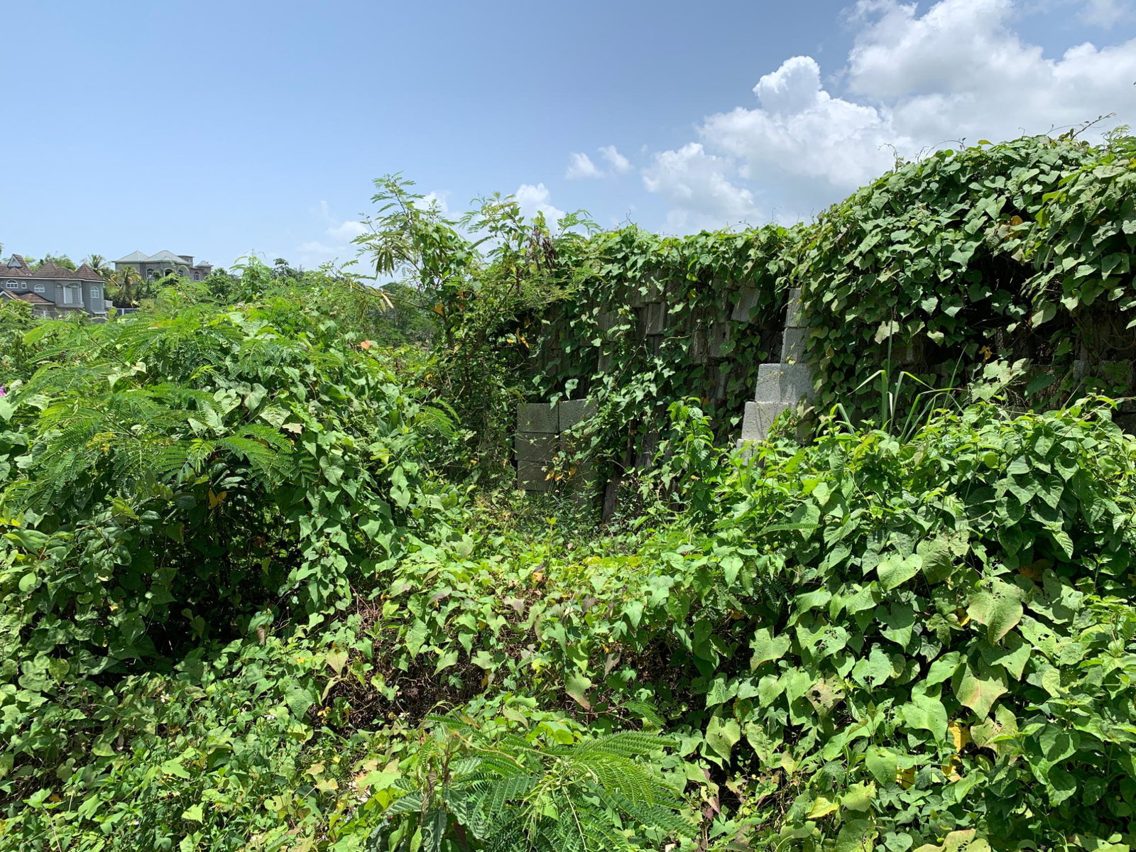 Twelfth image of 383 & 384 Westgate Hills Phase 2. m in Westgate Hills, St. James, Jamaica - property is For Sale