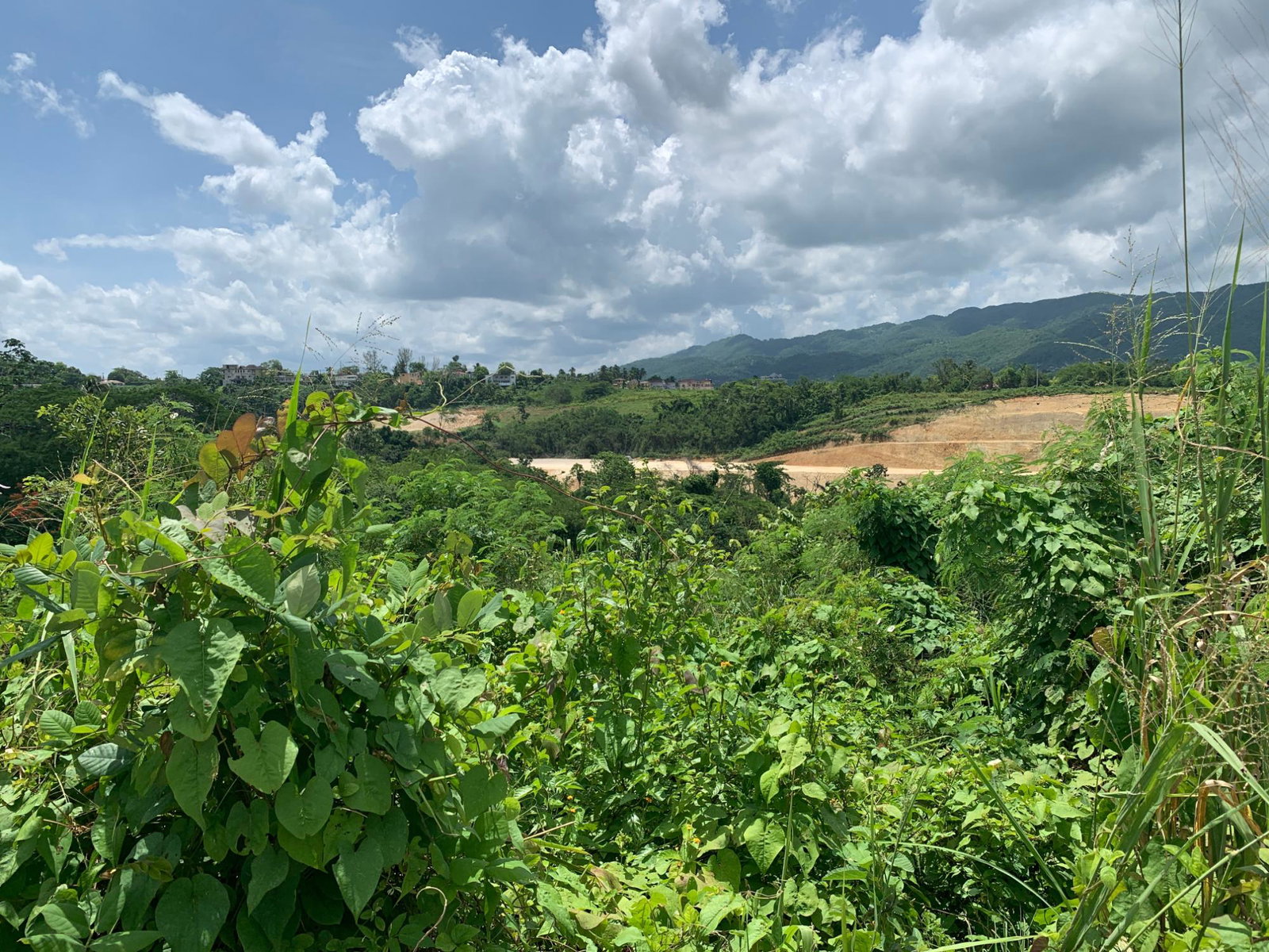 Eighth image of 383 & 384 Westgate Hills Phase 2. m in Westgate Hills, St. James, Jamaica - property is For Sale