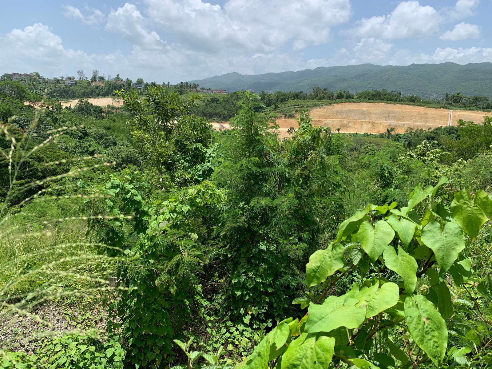 Ninth image of 383 & 384 Westgate Hills Phase 2. m in Westgate Hills, St. James, Jamaica - property is For Sale