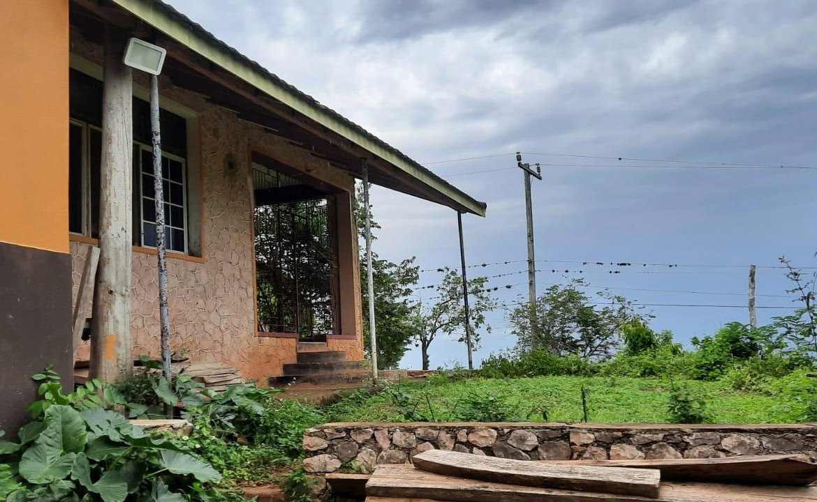 Third image of Adam's Farm,part of Ridge in Discovery Bay, St. Ann, Jamaica - property is For Sale