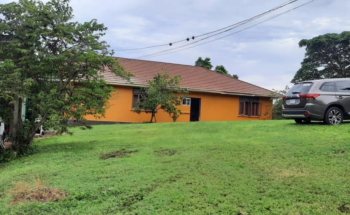 Fifth image of Adam's Farm,part of Ridge in Discovery Bay, St. Ann, Jamaica - property is For Sale