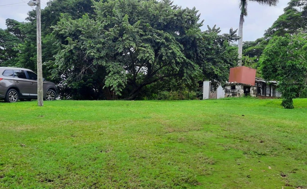 Sixth image of Adam's Farm,part of Ridge in Discovery Bay, St. Ann, Jamaica - property is For Sale