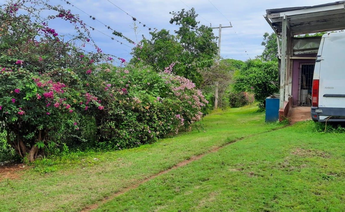 Seventh image of Adam's Farm,part of Ridge in Discovery Bay, St. Ann, Jamaica - property is For Sale