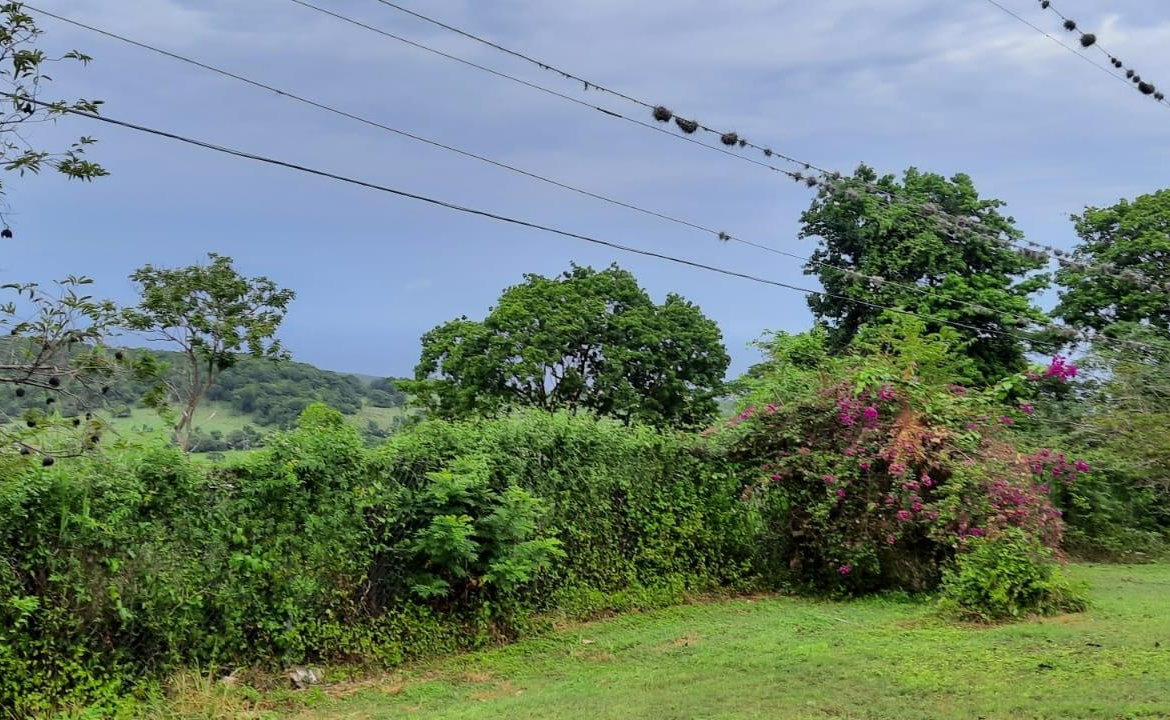 Eighth image of Adam's Farm,part of Ridge in Discovery Bay, St. Ann, Jamaica - property is For Sale