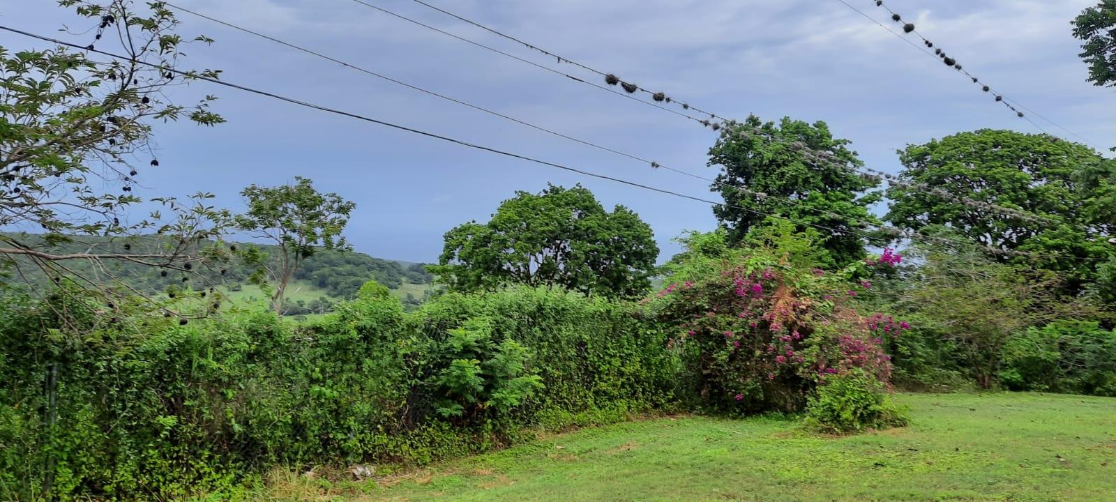 St.-Ann-5-Acre-Residential-Property-for-Sale-Ocean-Mountain-Views Eighth image of Adam's Farm,part of Ridge in Discovery Bay, St. Ann, Jamaica - property is For Sale