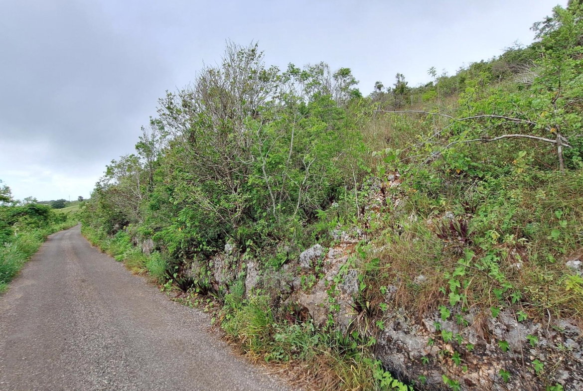 First image of Bellevue in Southfield, St. Elizabeth, Jamaica - property is For Sale