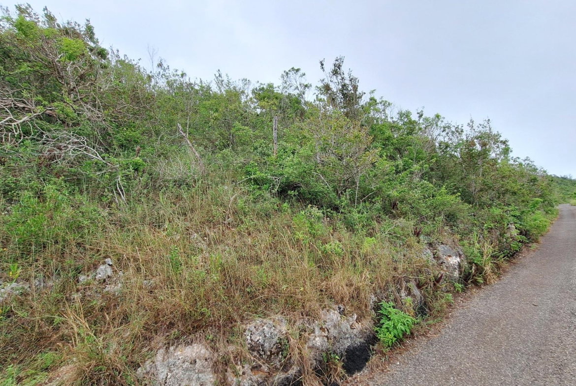 Third image of Bellevue in Southfield, St. Elizabeth, Jamaica - property is For Sale