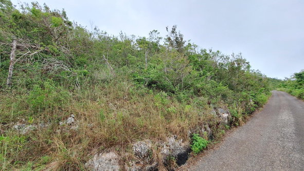 Third image of Bellevue in Southfield, St. Elizabeth, Jamaica - property is For Sale