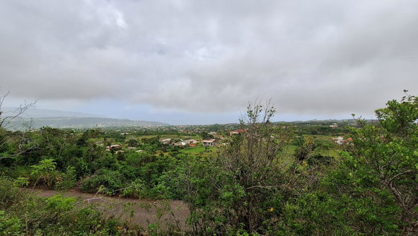 Fifth image of Bellevue in Southfield, St. Elizabeth, Jamaica - property is For Sale