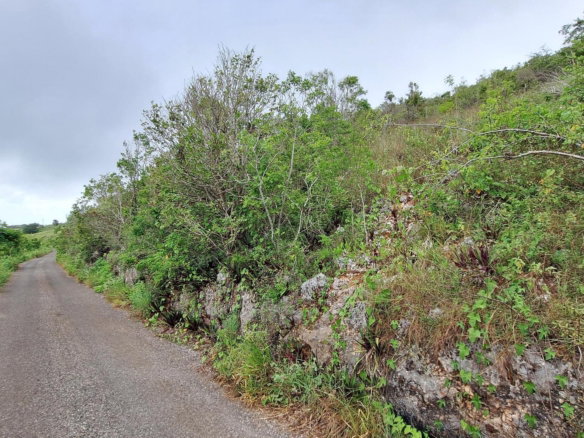 First image of Bellevue in Southfield, St. Elizabeth, Jamaica - property is For Sale