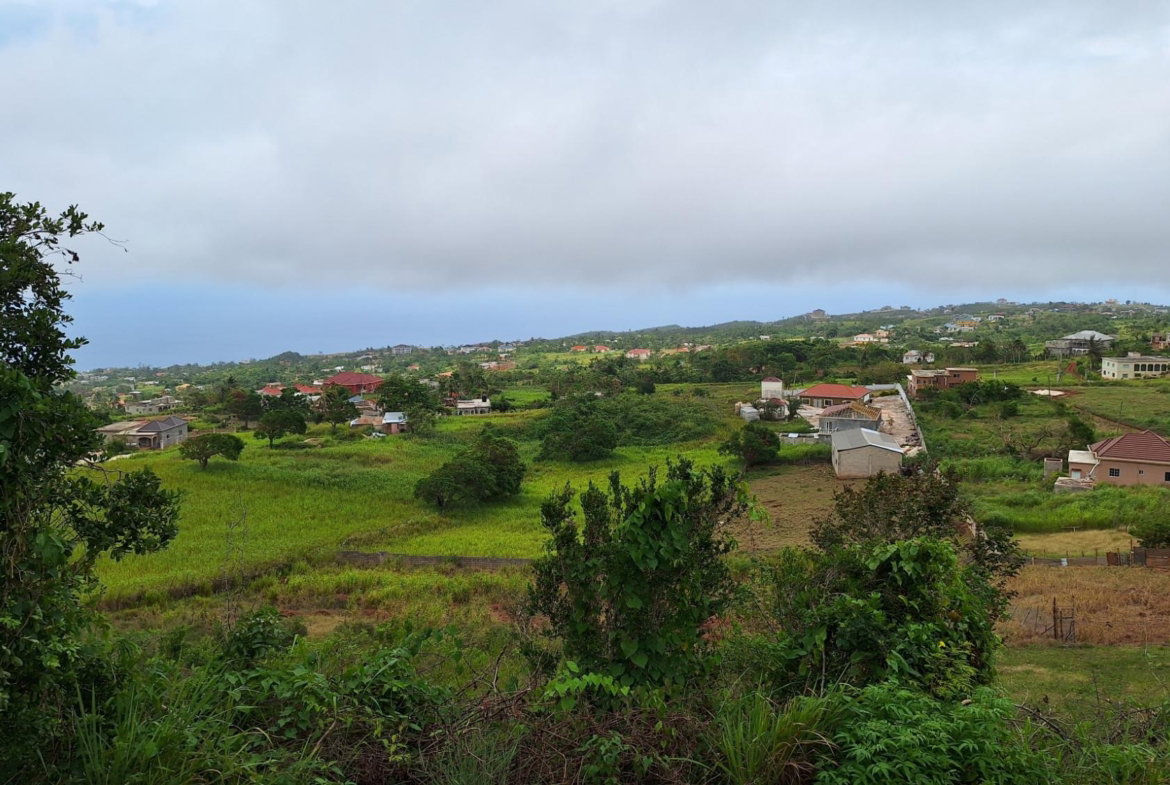 Eighth image of Bellevue in Southfield, St. Elizabeth, Jamaica - property is For Sale
