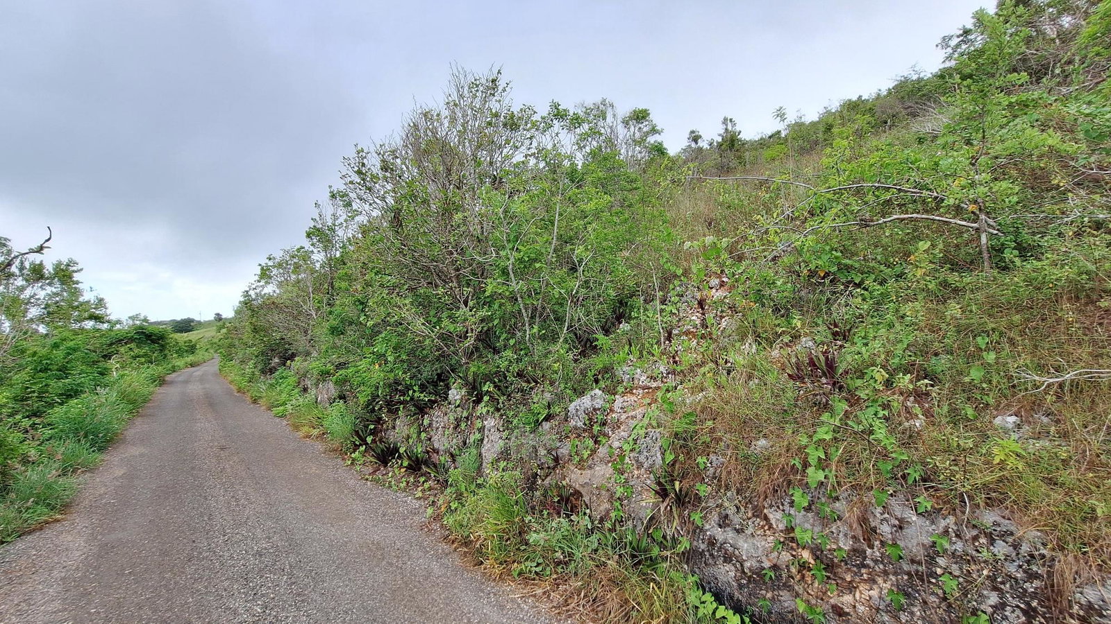 First image of Bellevue in Southfield, St. Elizabeth, Jamaica - property is For Sale