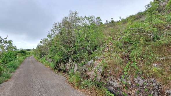 First image of Bellevue in Southfield, St. Elizabeth, Jamaica - property is For Sale