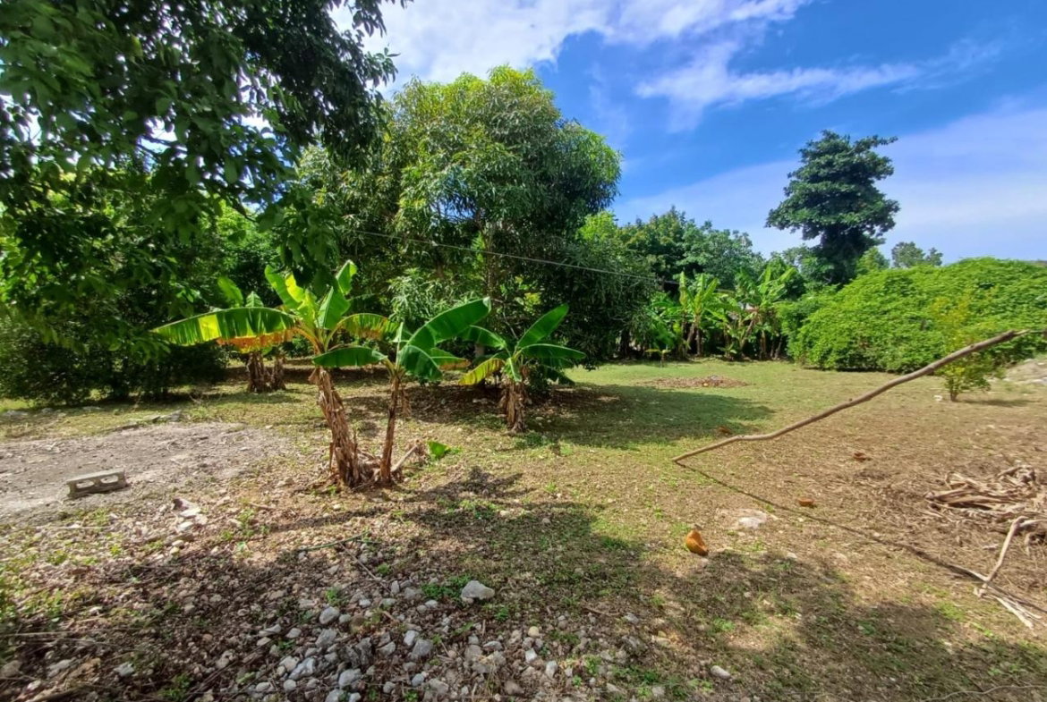 Twenty-First image of Comfort Hall, Salt Marsh in Falmouth, Trelawny, Jamaica - property is For Sale