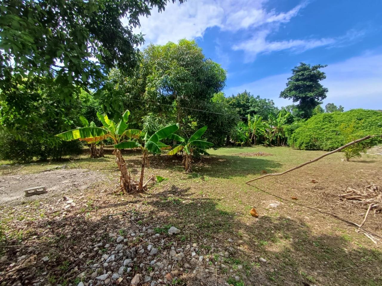 Twenty-First image of Comfort Hall, Salt Marsh in Falmouth, Trelawny, Jamaica - property is For Sale