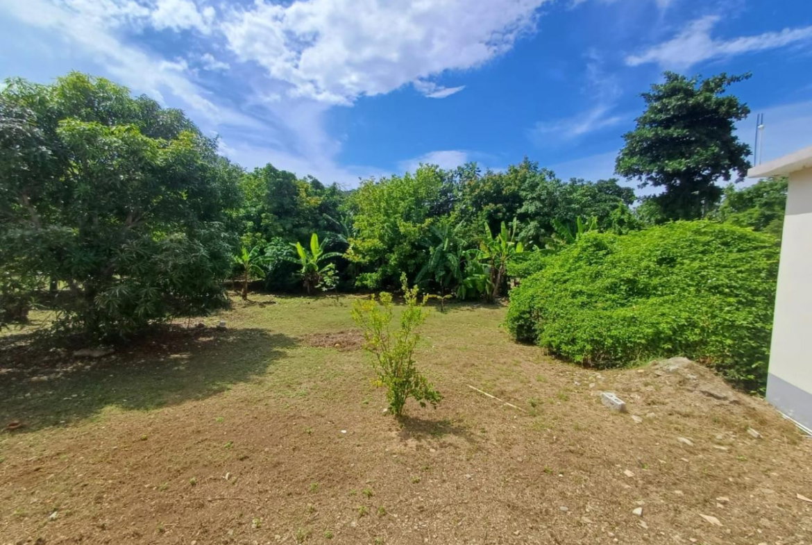 Twenty-Second image of Comfort Hall, Salt Marsh in Falmouth, Trelawny, Jamaica - property is For Sale