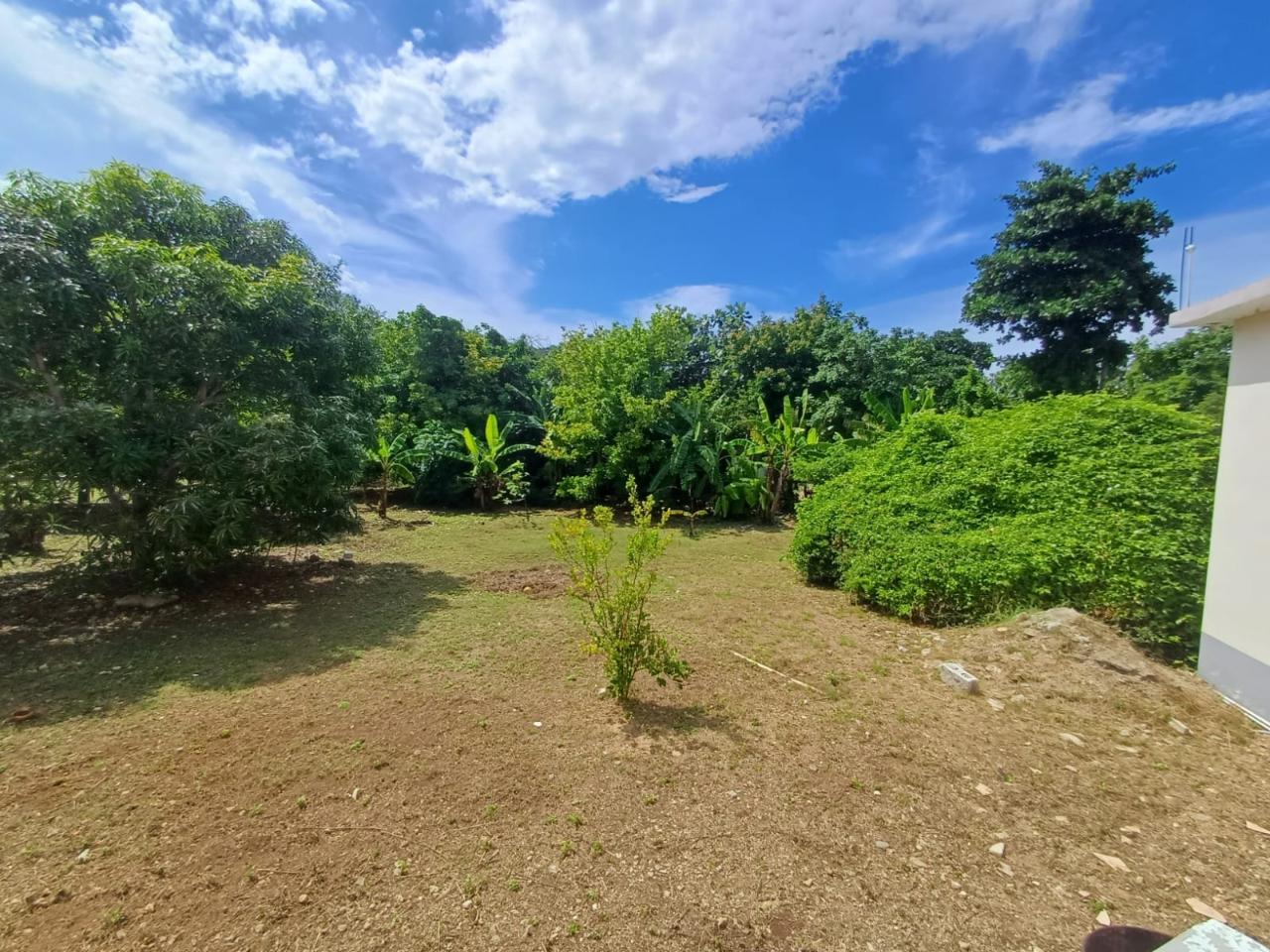 Twenty-Second image of Comfort Hall, Salt Marsh in Falmouth, Trelawny, Jamaica - property is For Sale