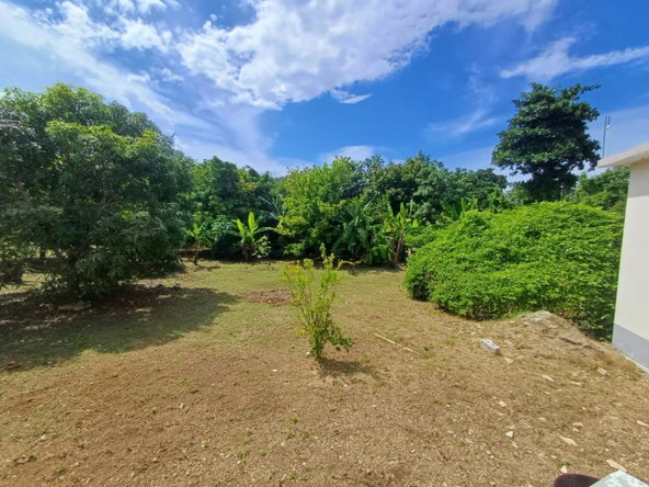 Twenty-Second image of Comfort Hall, Salt Marsh in Falmouth, Trelawny, Jamaica - property is For Sale