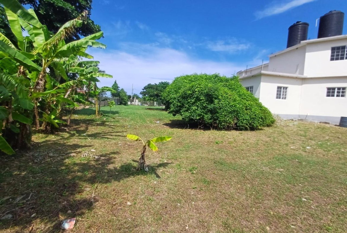 Twenty-Fifth image of Comfort Hall, Salt Marsh in Falmouth, Trelawny, Jamaica - property is For Sale