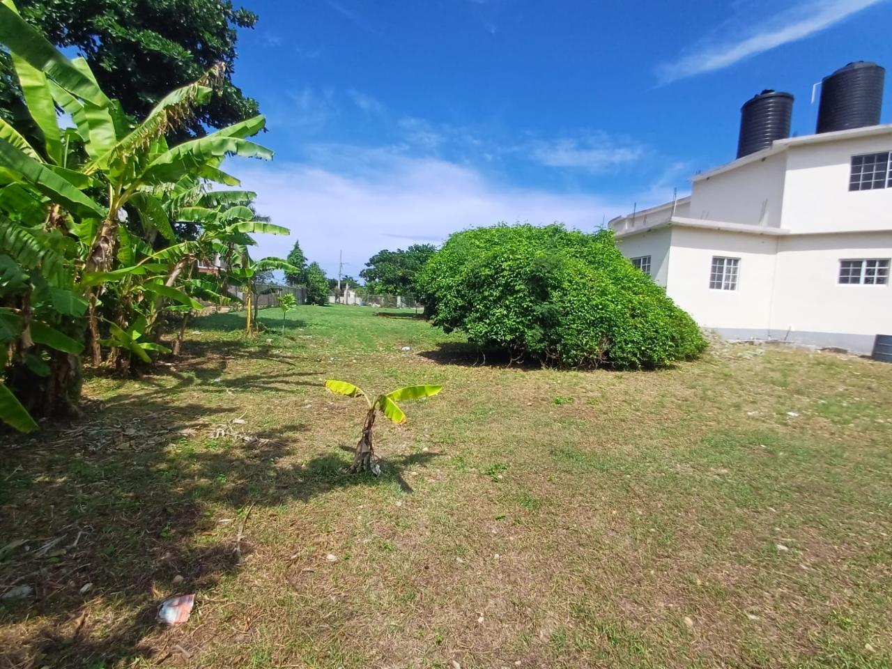 Twenty-Fifth image of Comfort Hall, Salt Marsh in Falmouth, Trelawny, Jamaica - property is For Sale