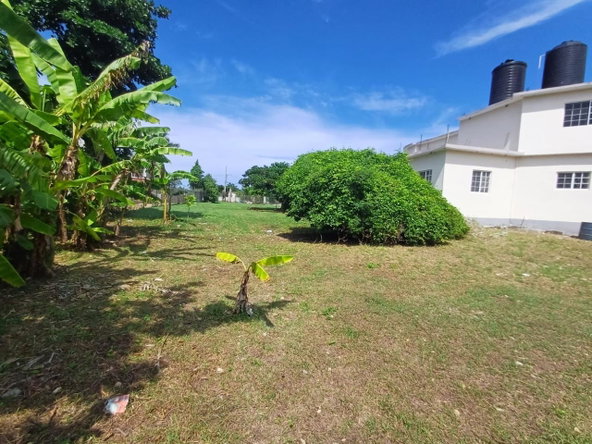 Twenty-Fifth image of Comfort Hall, Salt Marsh in Falmouth, Trelawny, Jamaica - property is For Sale