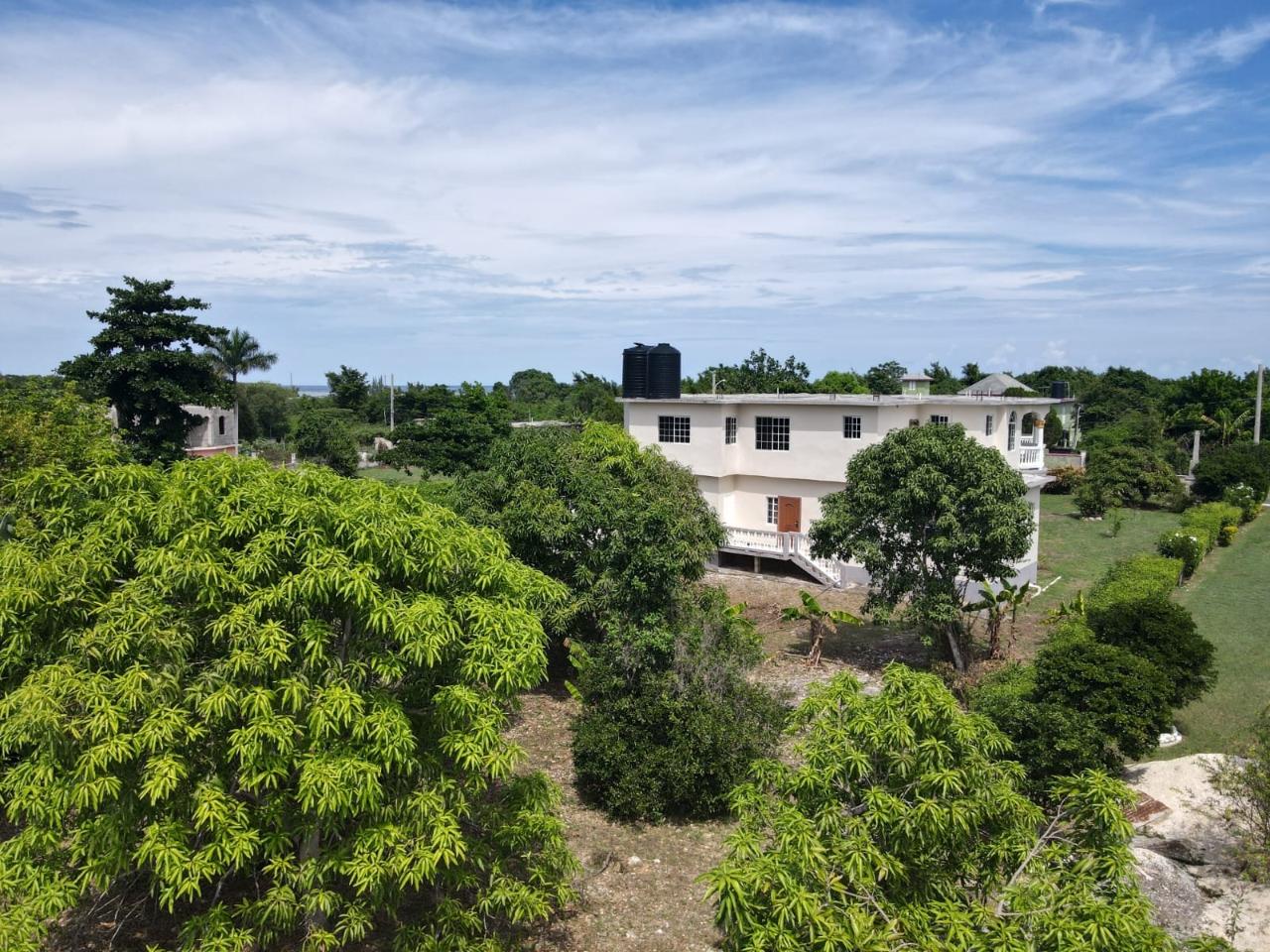 Seventh image of Comfort Hall, Salt Marsh in Falmouth, Trelawny, Jamaica - property is For Sale