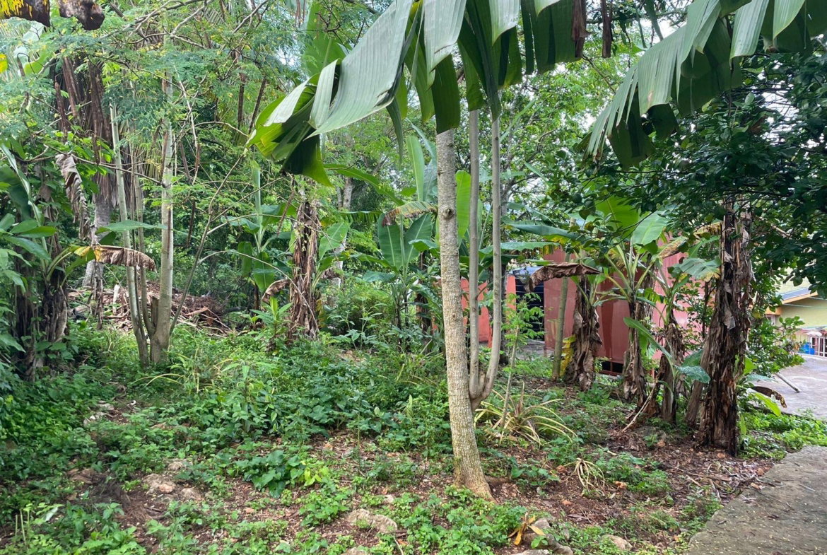 Twelfth image of 70 Part of Suttons Estate in Chapleton, Clarendon, Jamaica - property is For Sale