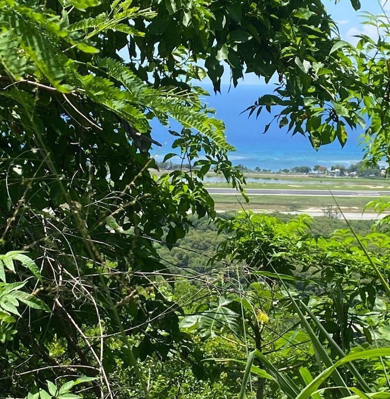 Sixth image of 131 Caribbean Terrace in Montego Bay, St. James, Jamaica - property is For Sale