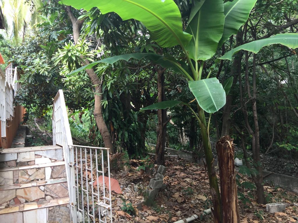 Fourth image of 2 East Kirkland Heights in Kingston 19, St. Andrew, Jamaica - property is For Sale