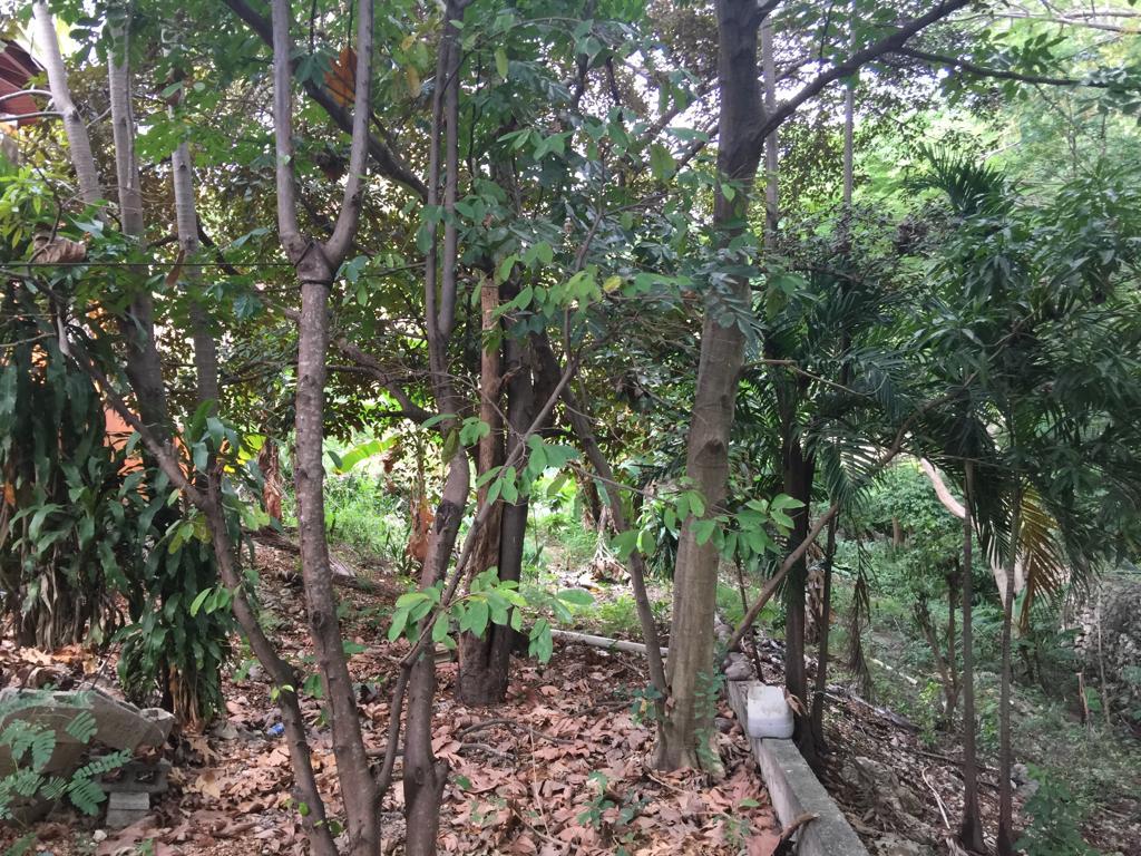 Fifth image of 2 East Kirkland Heights in Kingston 19, St. Andrew, Jamaica - property is For Sale