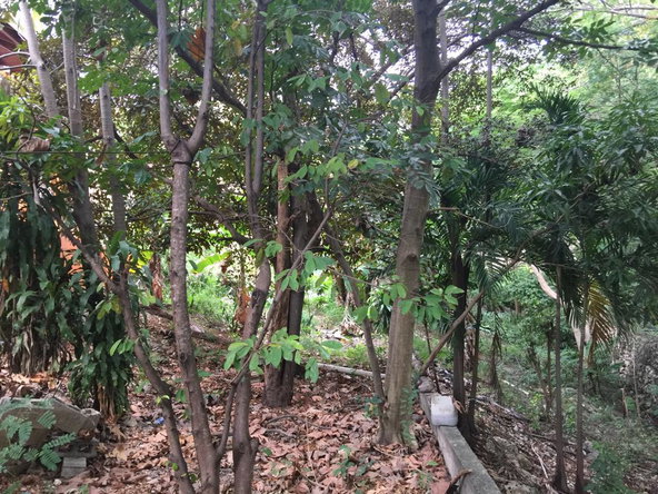 Fifth image of 2 East Kirkland Heights in Kingston 19, St. Andrew, Jamaica - property is For Sale