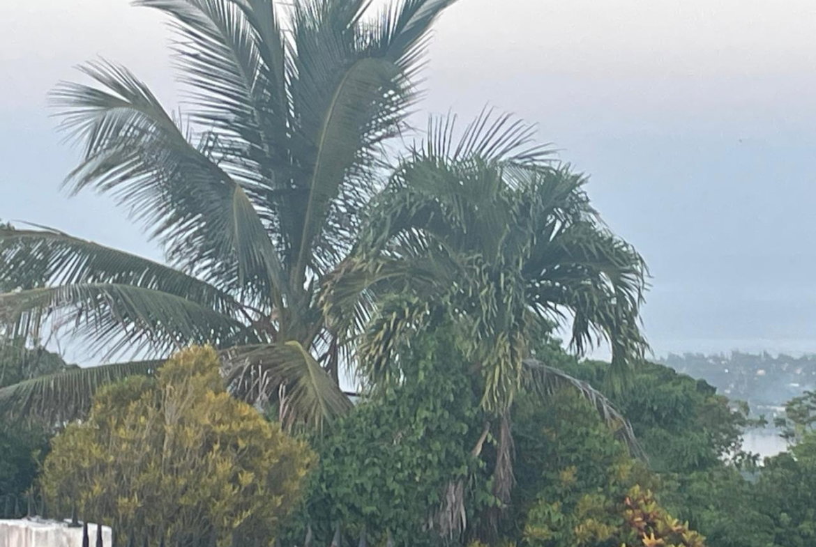 Eleventh image of 2 Boundbrook in Stony Hill, Portland, Jamaica - property is For Sale