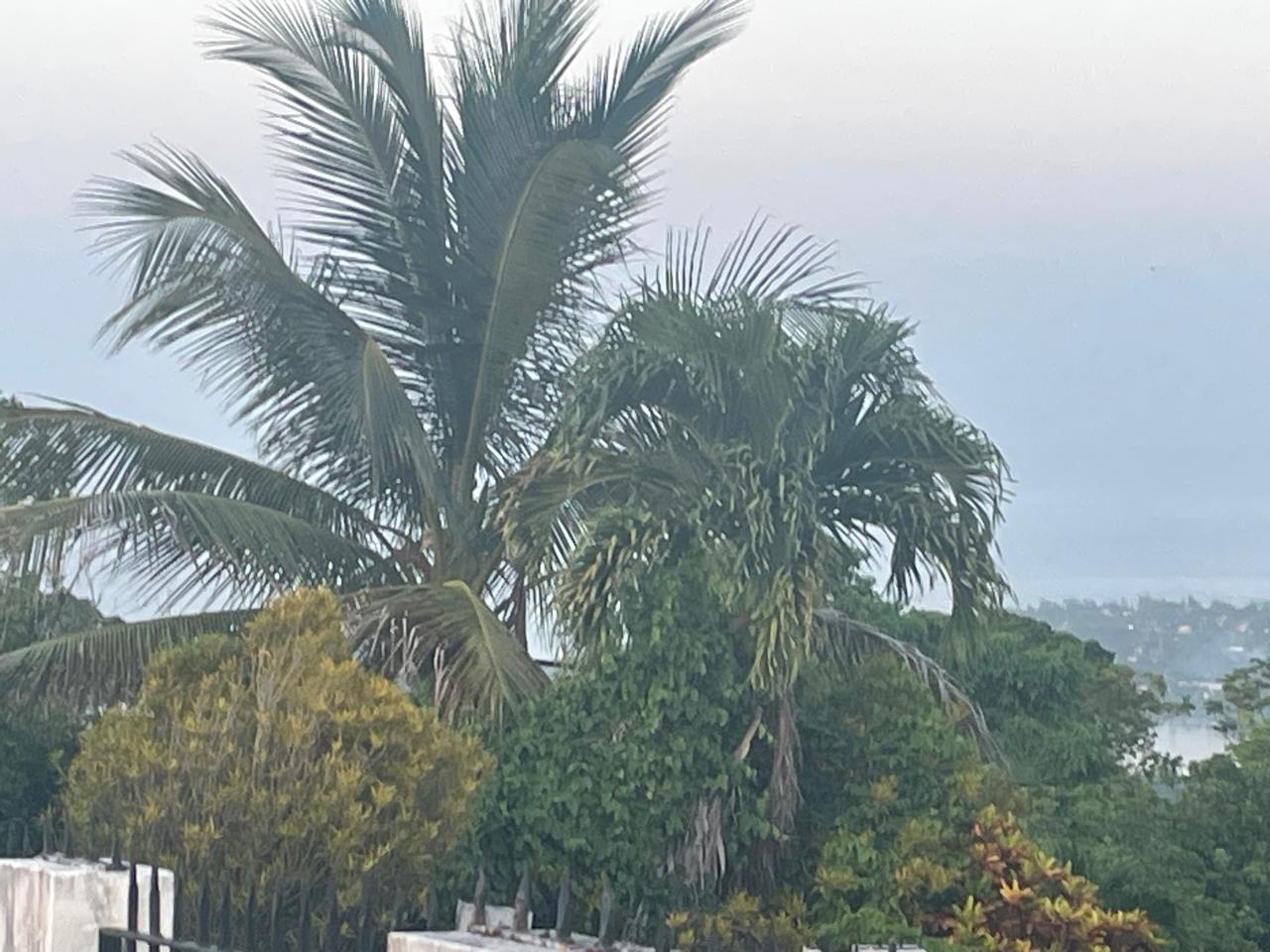 Stunning-16000-sq-ft-Residential-Lot-for-Sale-in-Boundbrook-Jamaica Eleventh image of 2 Boundbrook in Stony Hill, Portland, Jamaica - property is For Sale