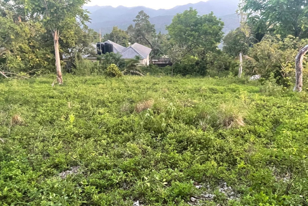 Third image of 2 Boundbrook in Stony Hill, Portland, Jamaica - property is For Sale