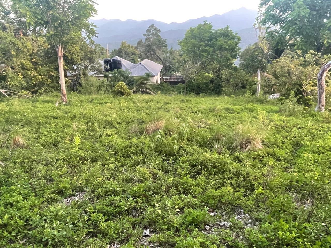 Stunning-16000-sq-ft-Residential-Lot-for-Sale-in-Boundbrook-Jamaica Third image of 2 Boundbrook in Stony Hill, Portland, Jamaica - property is For Sale