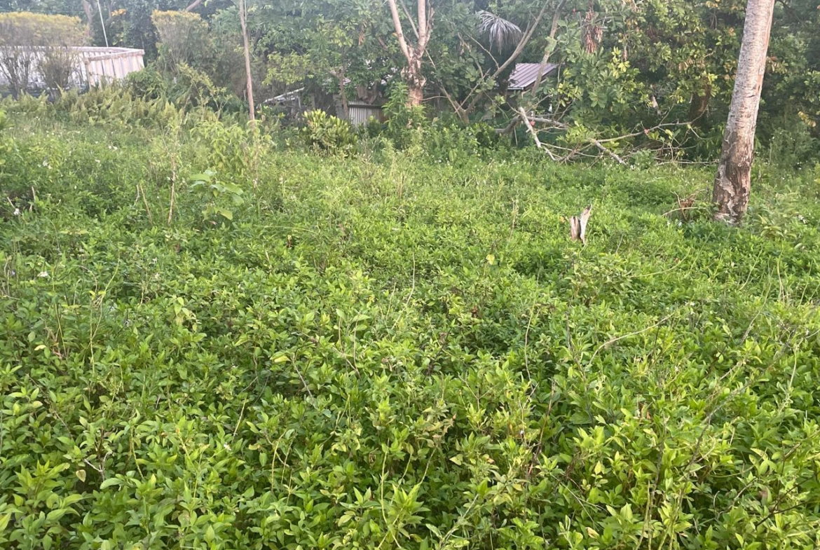 Fourth image of 2 Boundbrook in Stony Hill, Portland, Jamaica - property is For Sale