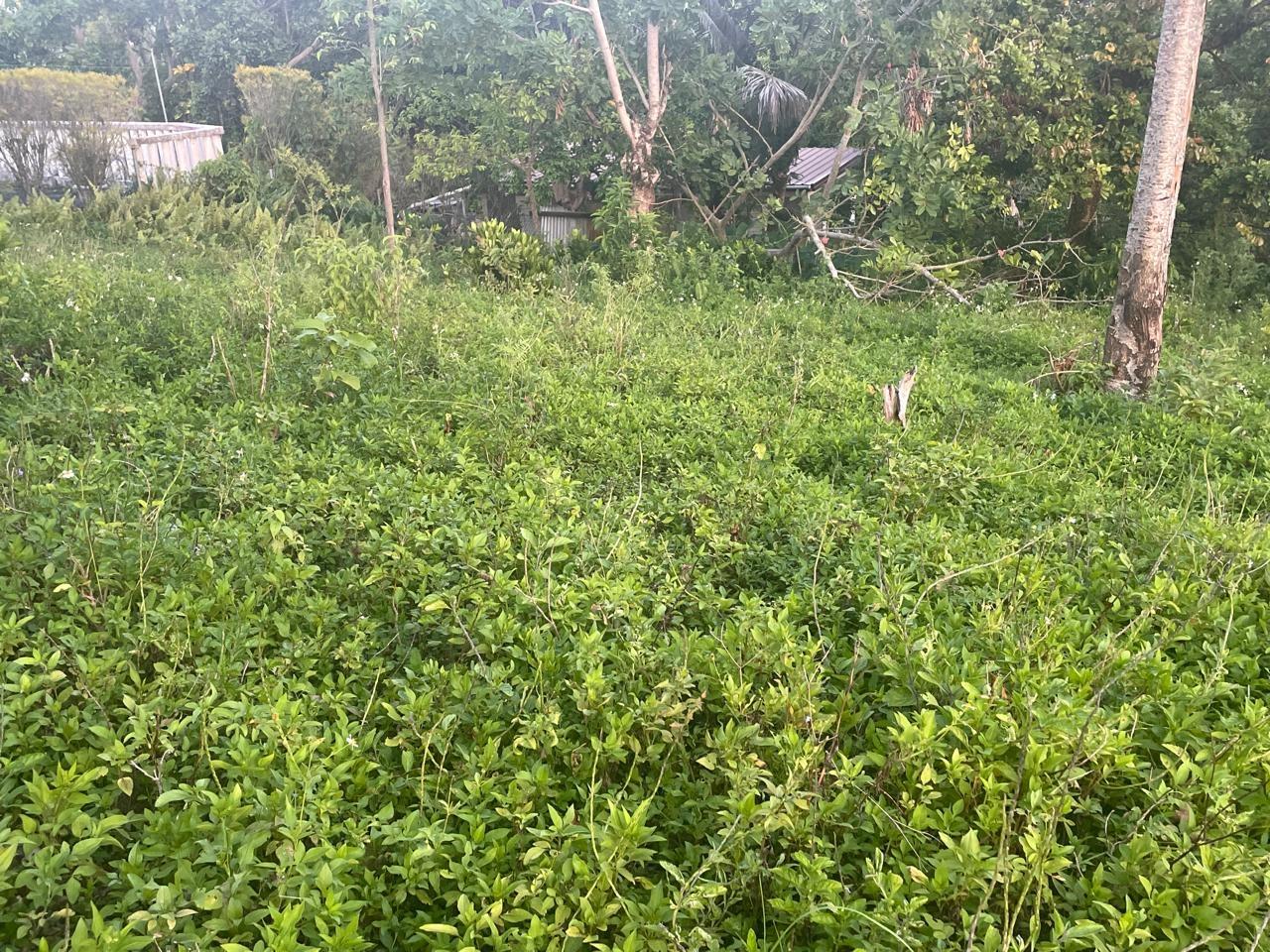 Stunning-16000-sq-ft-Residential-Lot-for-Sale-in-Boundbrook-Jamaica Fourth image of 2 Boundbrook in Stony Hill, Portland, Jamaica - property is For Sale