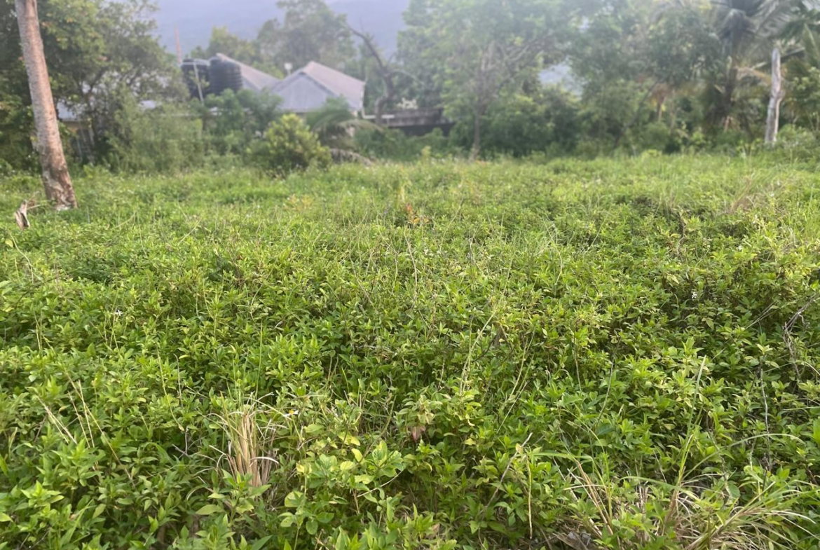 Fifth image of 2 Boundbrook in Stony Hill, Portland, Jamaica - property is For Sale