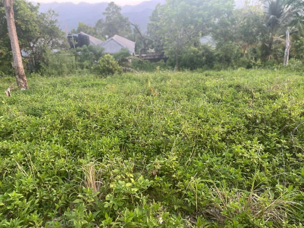 Stunning-16000-sq-ft-Residential-Lot-for-Sale-in-Boundbrook-Jamaica Fifth image of 2 Boundbrook in Stony Hill, Portland, Jamaica - property is For Sale